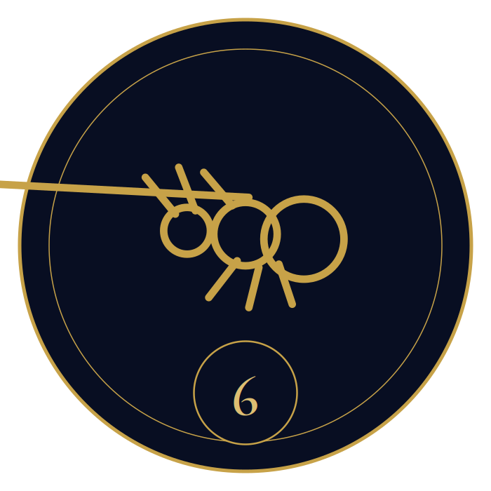 Chapter 6 ornament