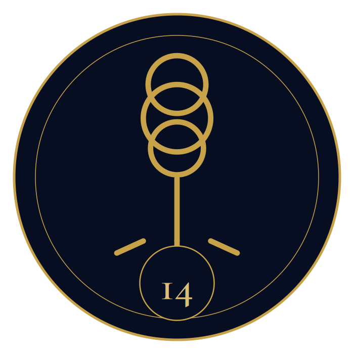 Chapter 14 ornament