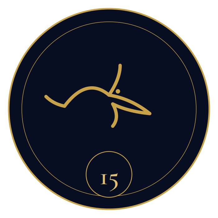 Chapter 15 ornament