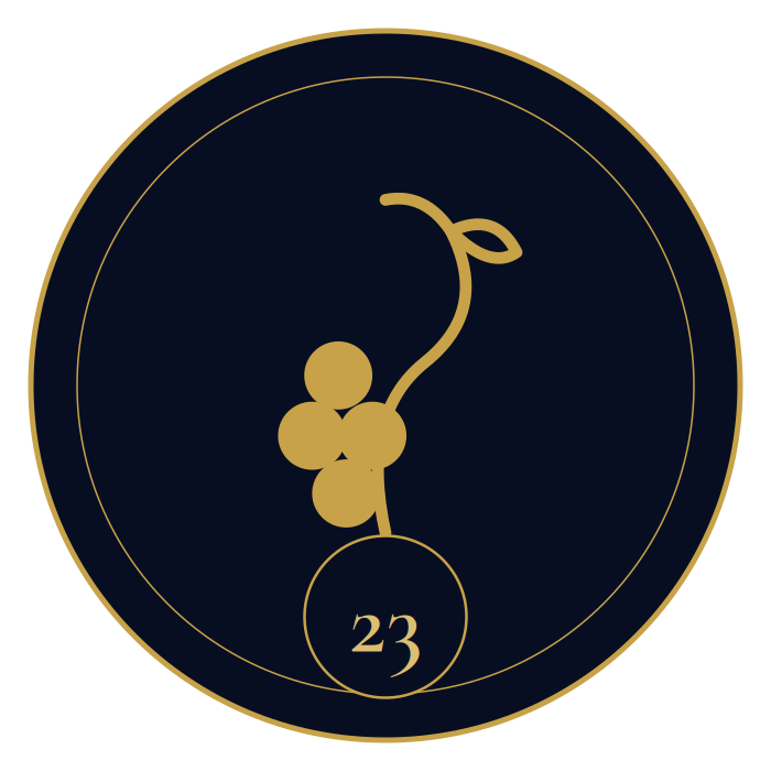 Chapter 23 ornament